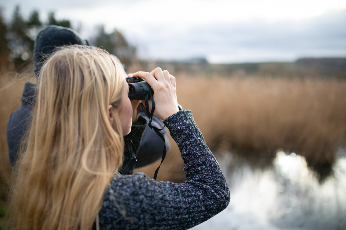 Birdwatching in winter at a wetland centre