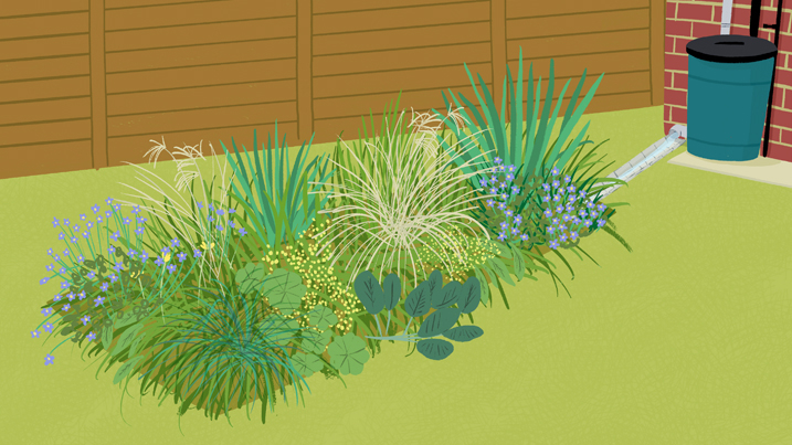 How to make a rain garden