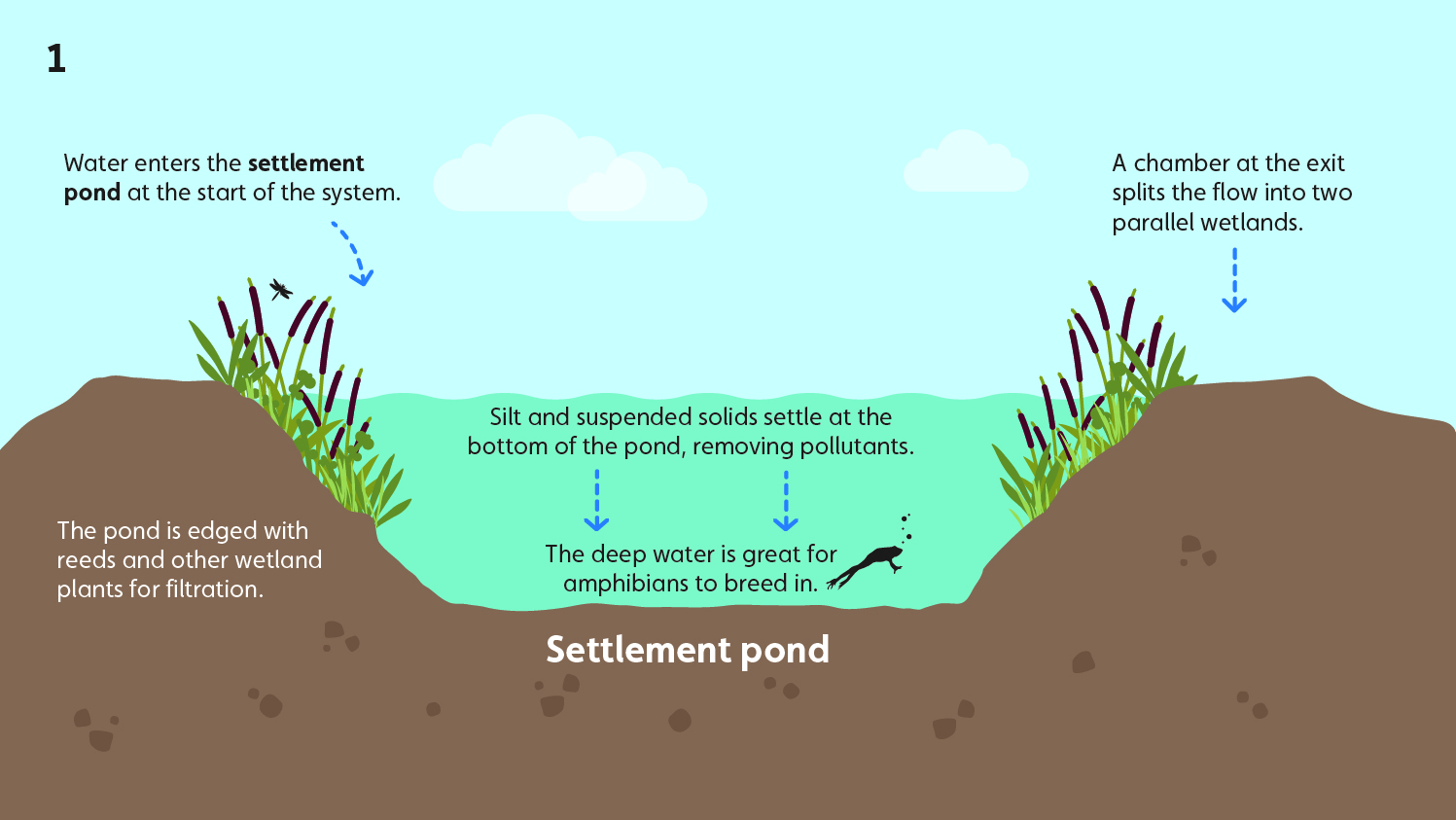 Wetland water treatment system - part 1 - settlement pond