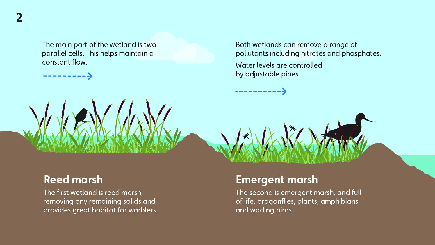 Wetland water treatment system - part 2 - reed marsh and emergent marsh