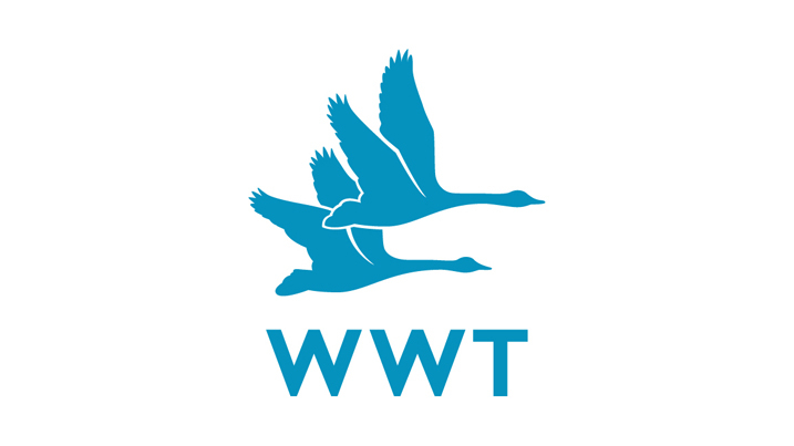 wwt_logo_RGB.jpg