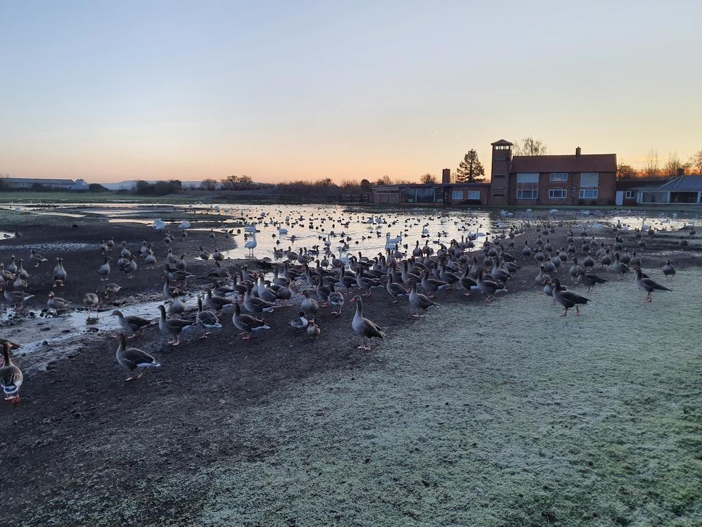 A cold snap to end the week