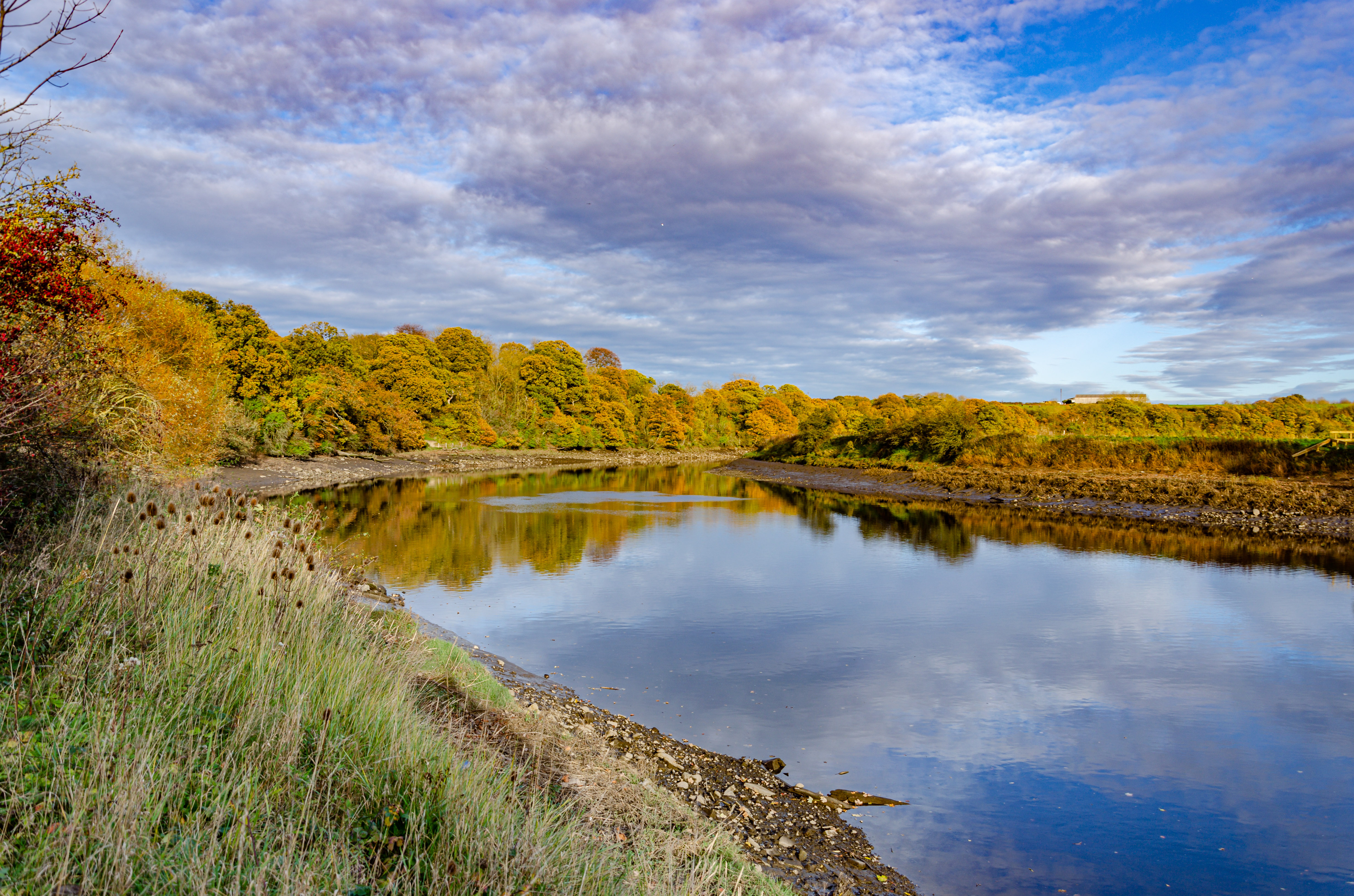 River Wear in autumn Nov - Ian Henderson (1).jpg