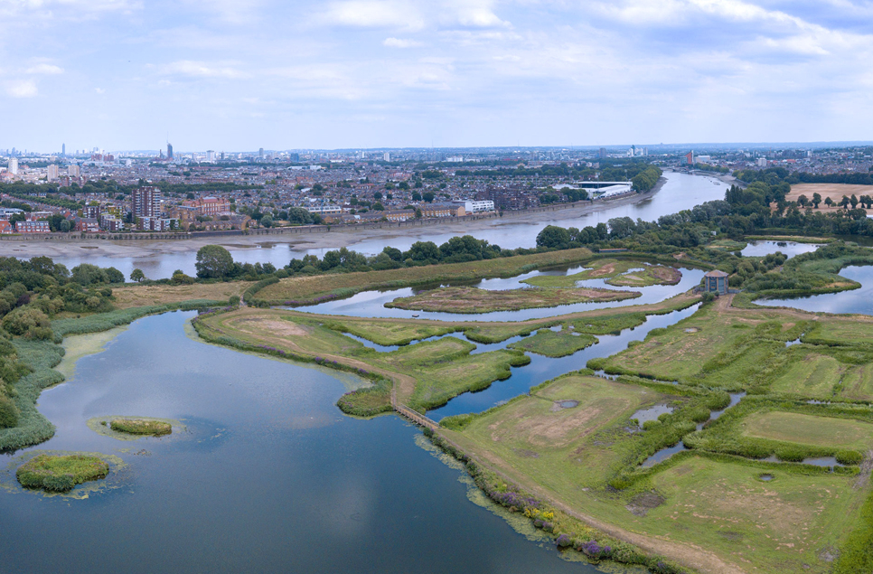 Politicians, businesses and environment groups meet to launch ambitious  Blue Recovery plan