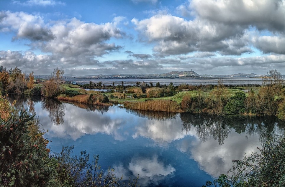 A wellbeing wander round WWT Castle Espie