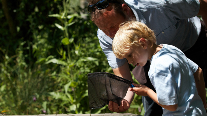 Pond dipping