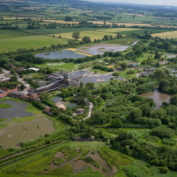 Slimbridge Wetland Centre WWT