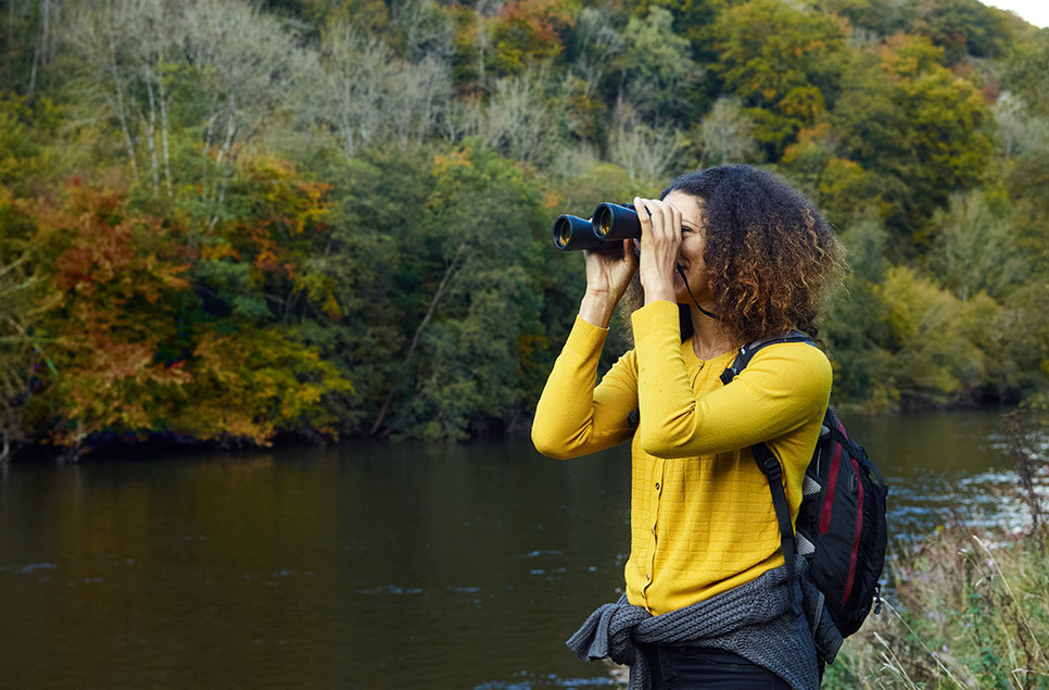 Spring and summer in wetlands: a guide for wellbeing