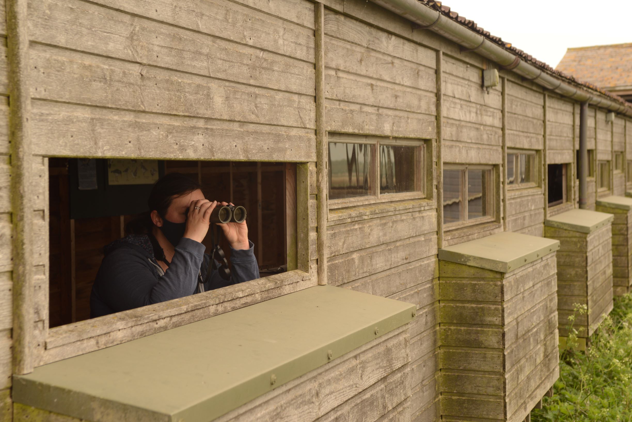 Hides re-open to enhance wildlife viewing