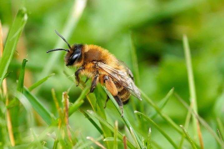 Welney sightings - 22/05/2026