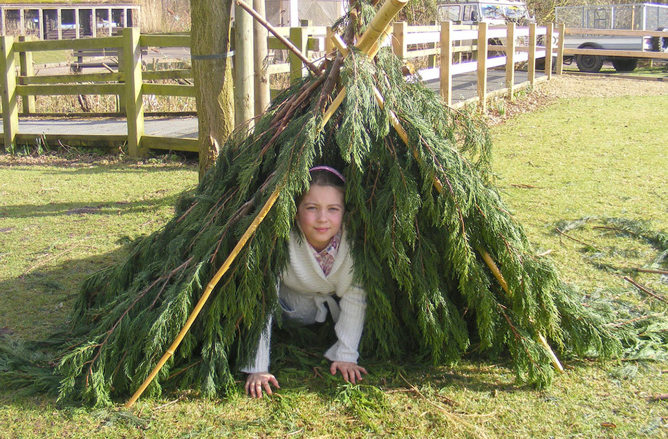 Build your own den