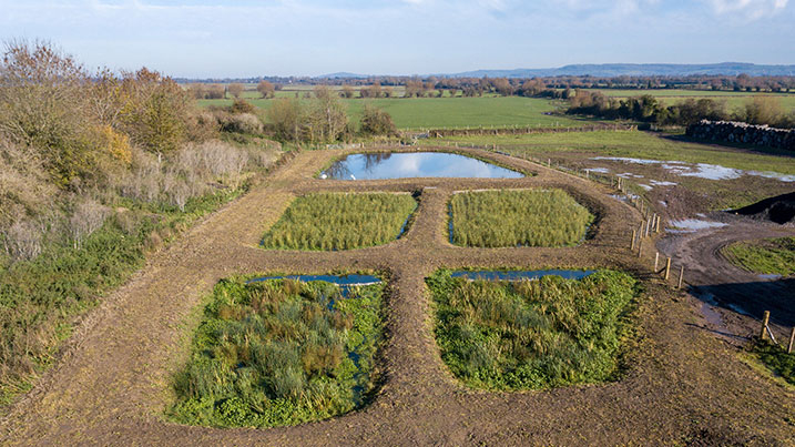 Wetland treatment system at Slimbridge