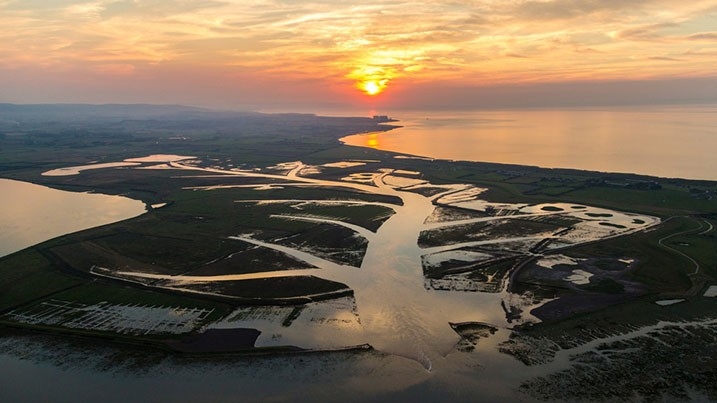 Sunset over wetland scene