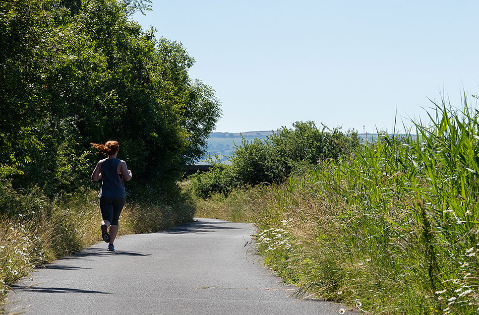 Walk on the wild side: the best walks around our wetland centres