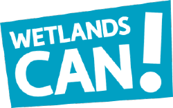 Wetlands Can