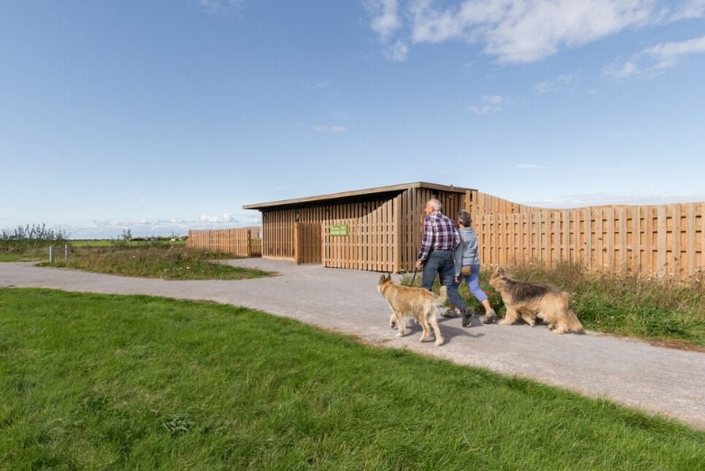 Dog Walking at Steart Marshes