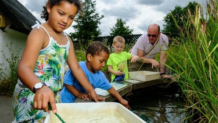 pond dipping