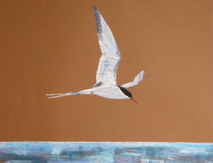 Artist Gill McCoy features in the gallery this September & October
