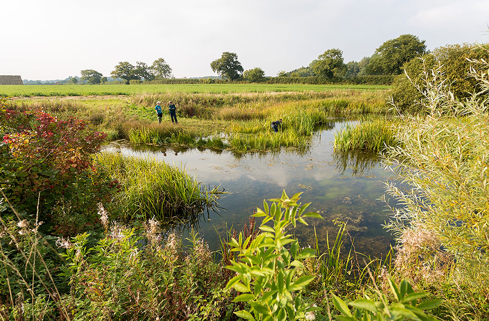 Take action with us in support of the Great Big Green Week