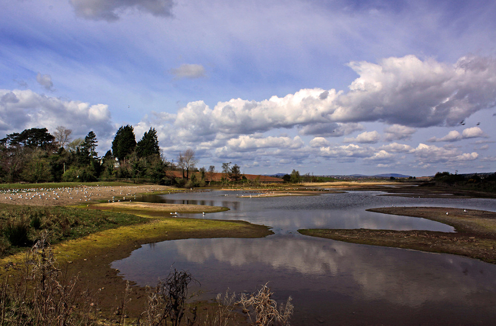 Castle Espie Wetland Centre temporary closure