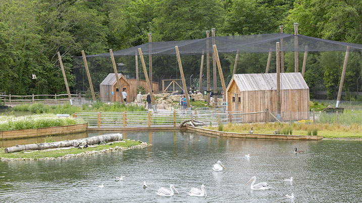 View of Coastal Creek aviary and Pelican Cove from Castle Meeting Room