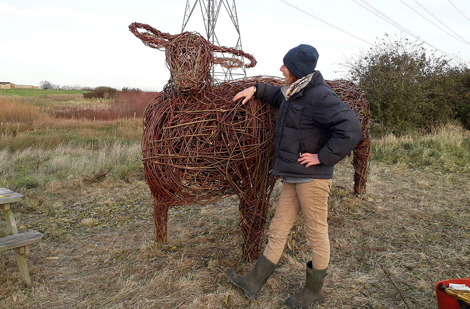 Giant Willow Longhorn community project at Steart Marshes