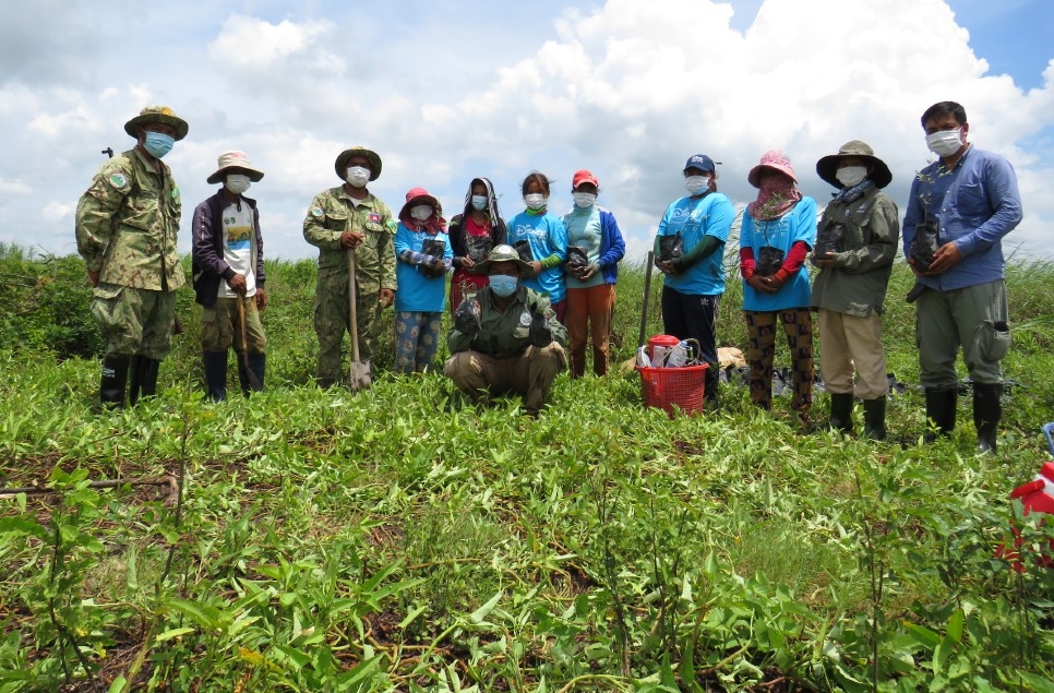 Restoring a flooded forest one seedling at a time   