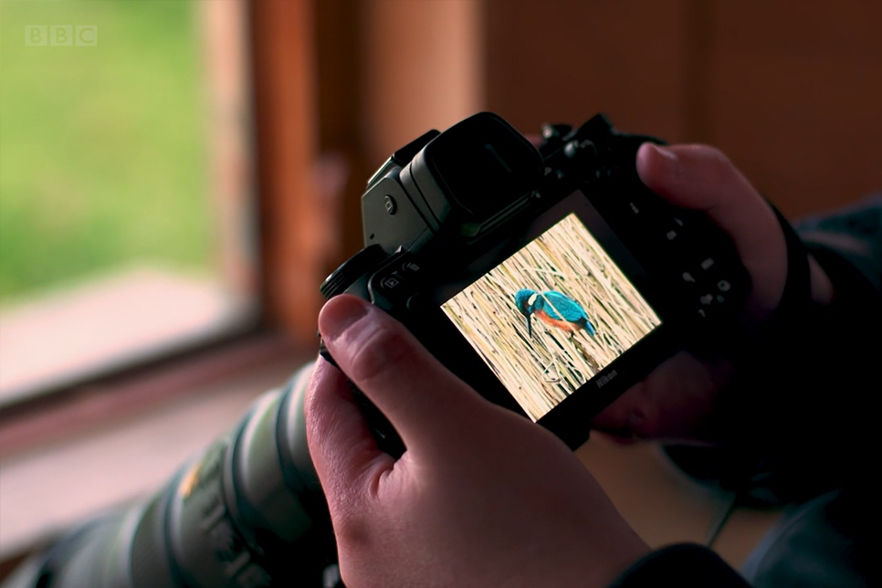 He did it! Photographer Alex Ditch achieves his birdwatching dream