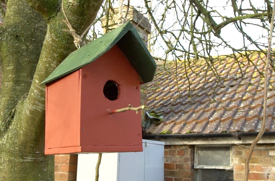 How to build a nest box for birds