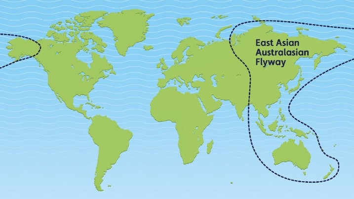 Map of the East Asian-Australasian flyway
