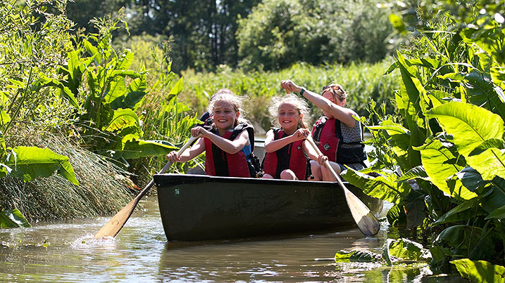 Take on the canoe safari at WWT Slimbridge