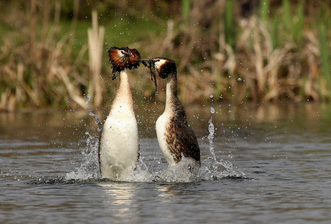 Wildlife Sightings for 13th October 2023