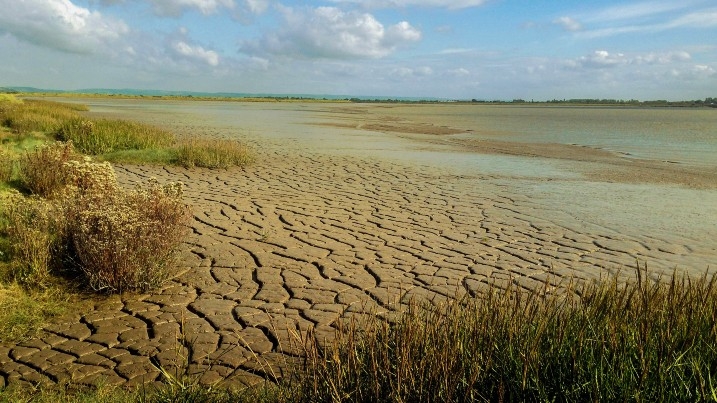 Mudflat