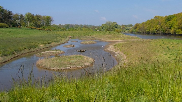 Saline lagoon