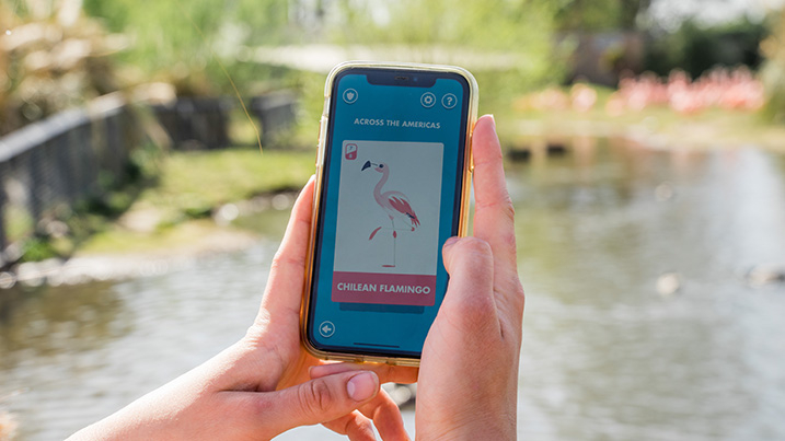 Wetland Heroes App