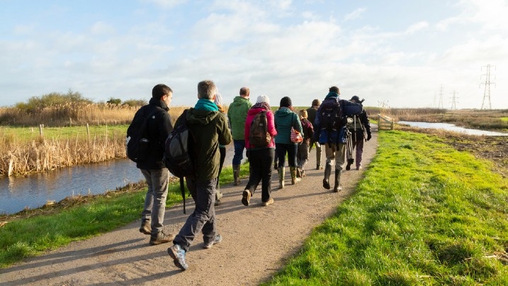 Group of birders walking along a path by a wetland