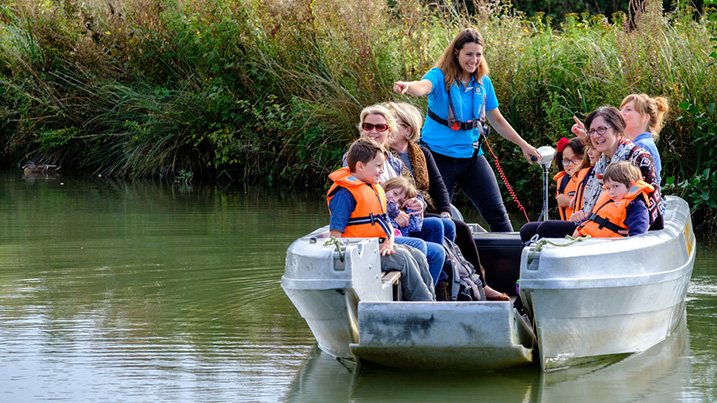 Boat Safaris