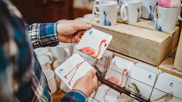 A visitors looking at flamingo coasters in the shop