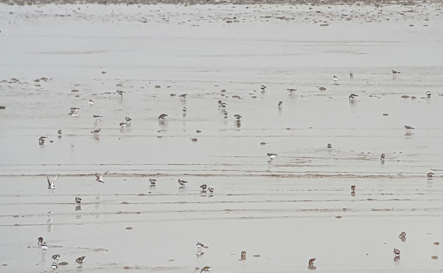 High tide goodies continue