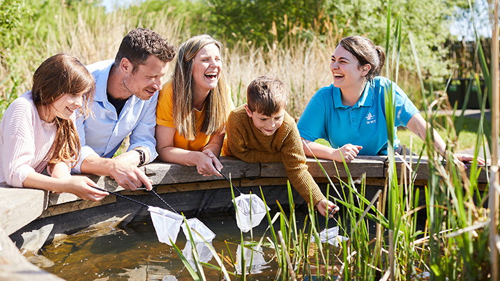 Pond dipping