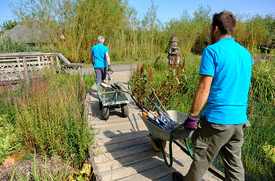 Celebrating WWT’s volunteers