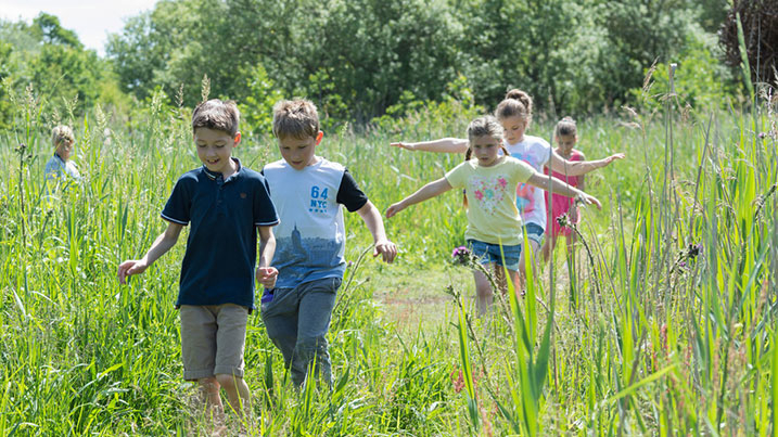Become a Wetlands detective this Easter at Castle Espie