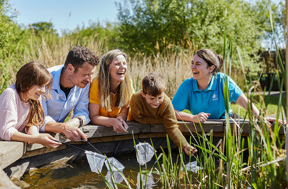 Become a Junior Wetland Ranger