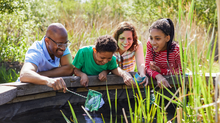 Family pond dipping