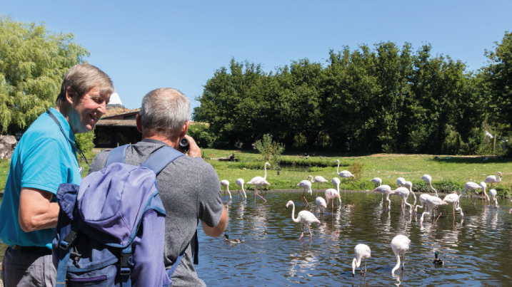 Volunteering at Martin Mere