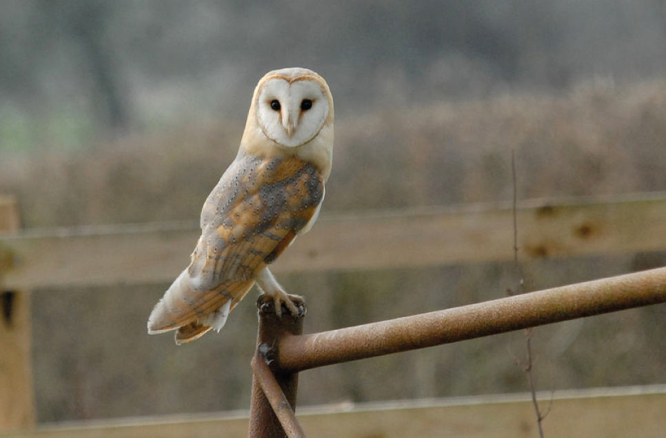 Latest Sightings