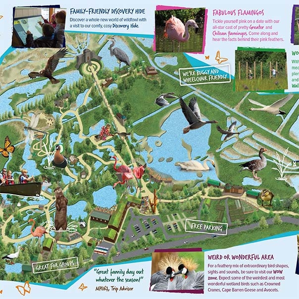 Plan your visit WWT