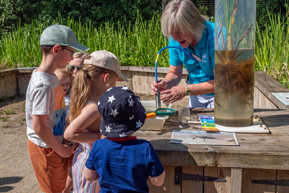 Pond dipping