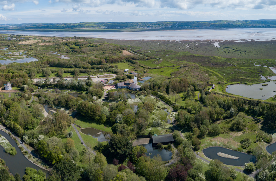 A tale of two halves: there's more to Llanelli than meets the eye