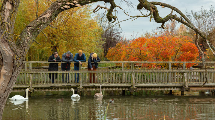Group of adults on a boardwalk over water, with autumnal tree in background
